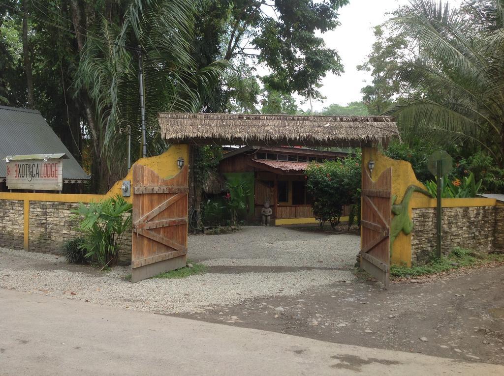 Puerto Viejo de Talamanca Morpheus Exotica Lodge المظهر الخارجي الصورة