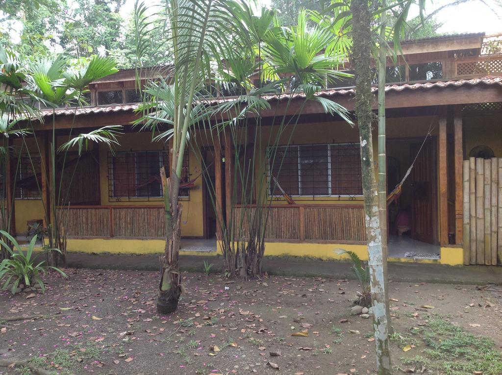 Puerto Viejo de Talamanca Morpheus Exotica Lodge المظهر الخارجي الصورة
